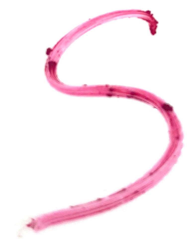 Very Berry Retractable Lip Liner