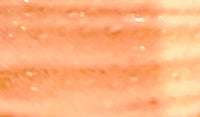Sweet Cheeks Lip Gloss